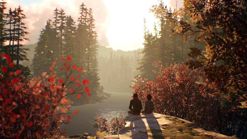 Life Is Strange 2: Complete Season [Episode 1-5] (2018) PC | RePack от dixen18 screen1