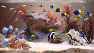 Zen Aquarium скачать торрент screen1