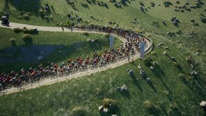 Pro Cycling Manager 25 через торрент screen1
