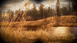 BULT: Hunting simulator скачать торрент screen3