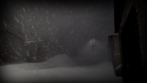 White Silence скачать торрент screen1