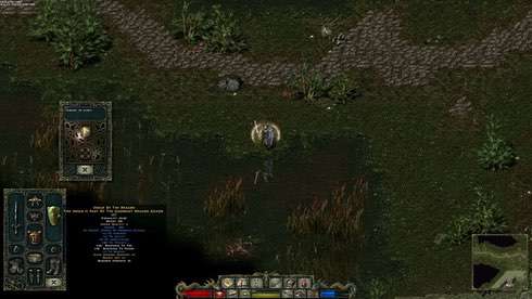 Divine Divinity скачать торрент screen1