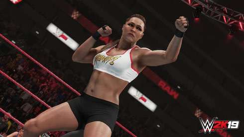 WWE 2K19 скачать торрент screen3